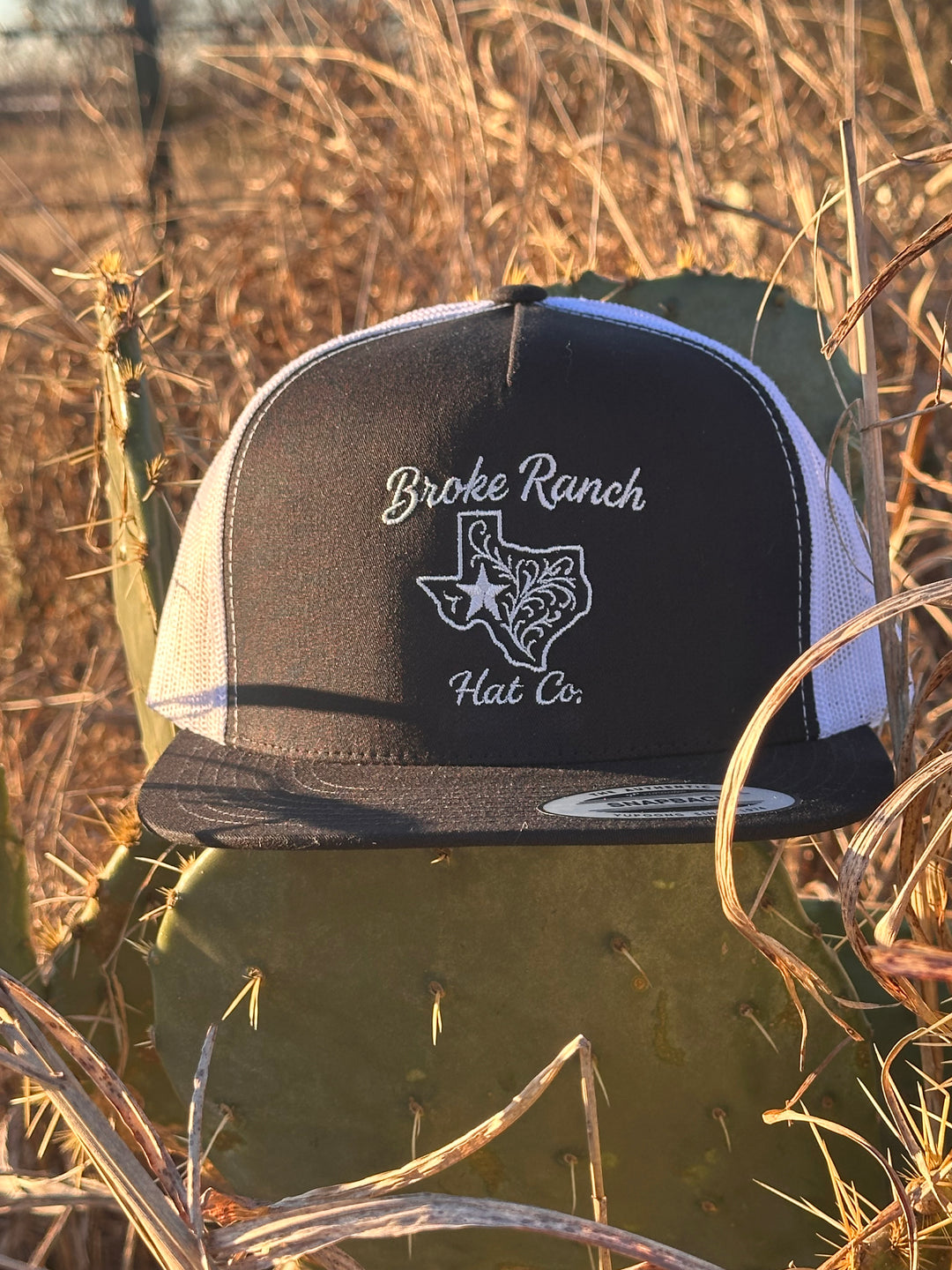 The Texas Standard